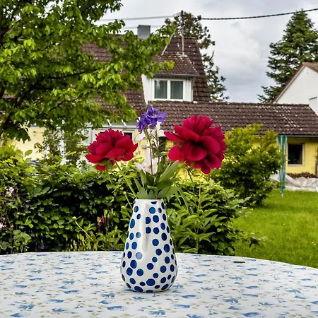 לינה וארוחת בוקר Gaestezimmer Cleo