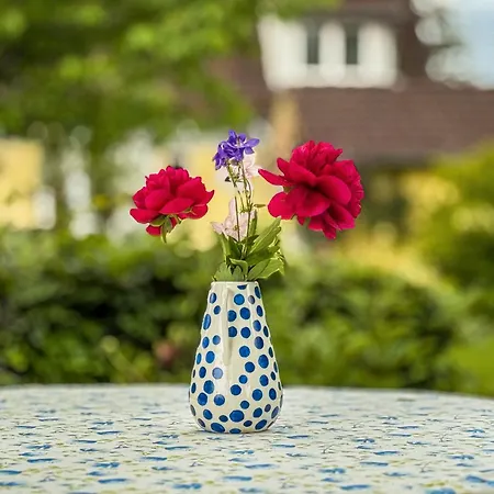 Gaestezimmer Cleo Bed & Breakfast *