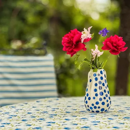 לינה וארוחת בוקר Gaestezimmer Cleo 3*